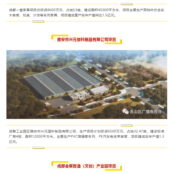 總投資157.1億元！四川省2019年第一季度重大項目集中開工儀式雅安分會場在成雅工業(yè)園區(qū)舉行(圖6)